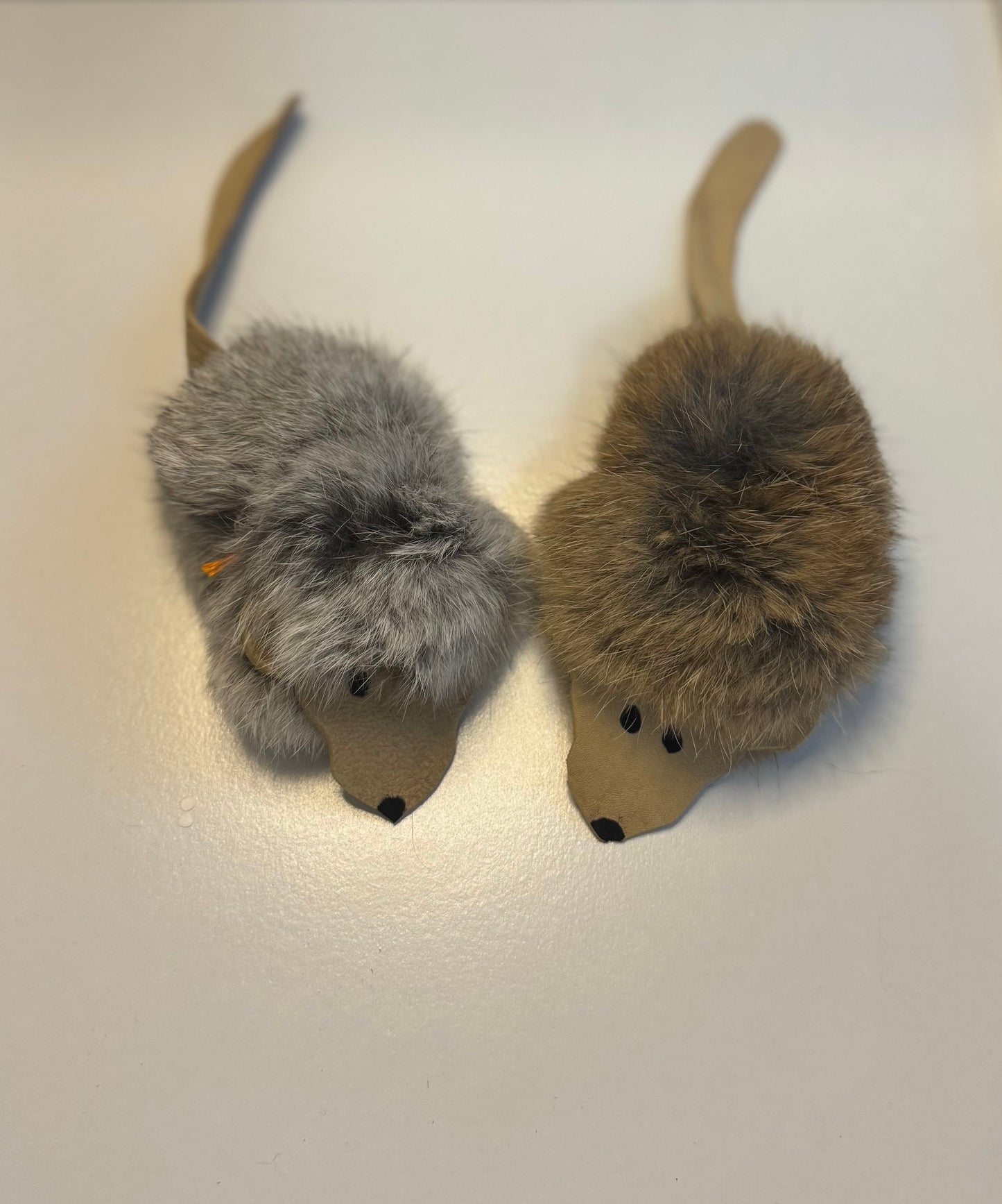 Harry Cat Toy