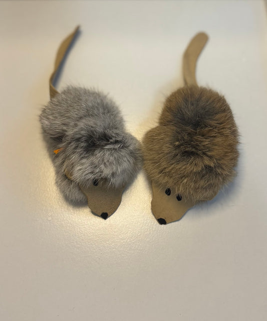 Harry Cat Toy